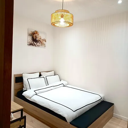Apartament Dinas